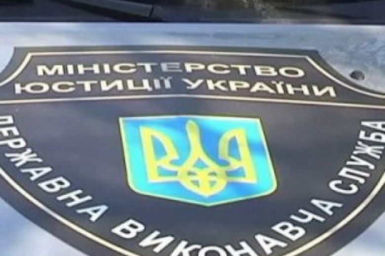 Реформа виконавчої служби і роль в ній приватних виконавців