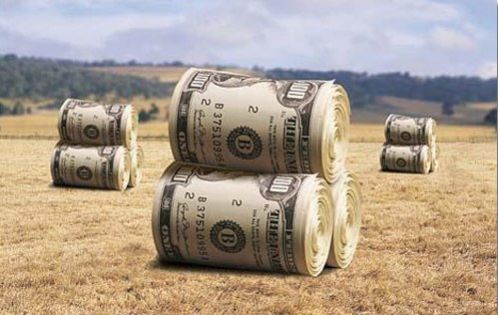 Українські аграрії експортували продукції на $13 млрд