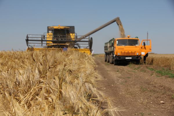 Аграрії намолотили понад 30 млн тонн зернових