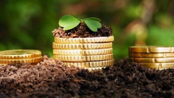 Обсяг виробництва сільгосппродукції в Україні показав незначний приріст