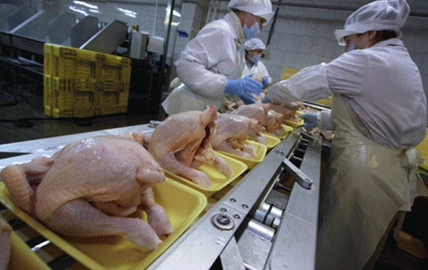 ЄС і Близький Схід відмовляються від українських продуктів птахівництва