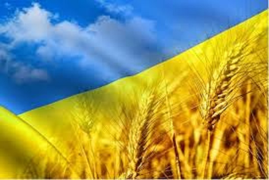 В июне украинские аграрии получили 473 млн грн дотации
