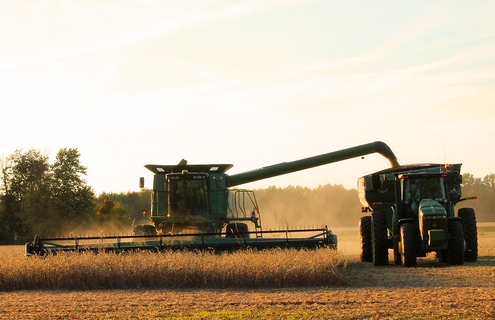 Урожай зерновых в 2017 году снизится до 60-63 млн т