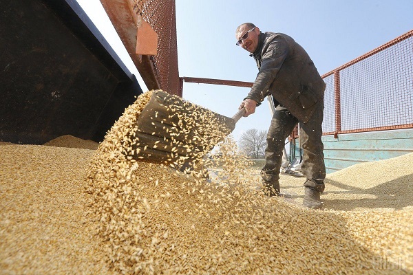 Украинские аграрии собрали более 40 миллионов тонн зерновых