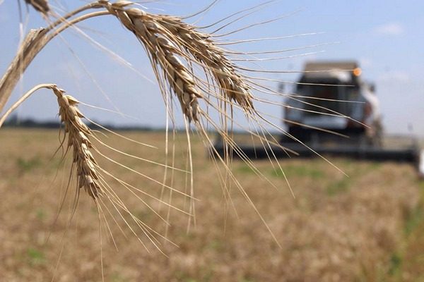 Кабмін затвердив програми підтримки аграріїв на понад 6 млрд грн