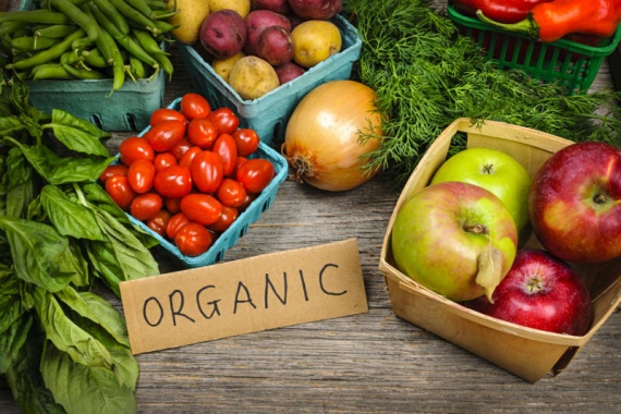 Україна нарощує експорт органічної продукції на західні ринки