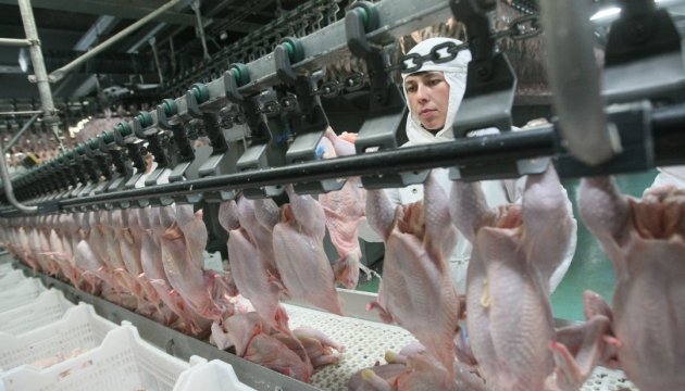 Україна та Марокко домовилася про експорт м’яса птиці
