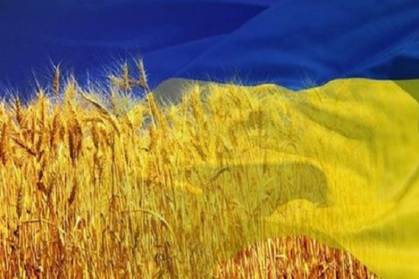 У Мінагро назвали ТОП – 5 покупців української агропродукції У Мінагро назвали ТОП – 5 покупців української агропродукції