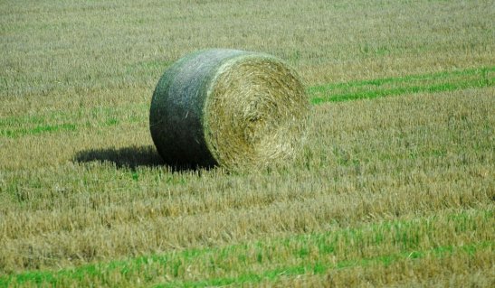 У Хмельницькій області надходження коштів до місцевих бюджетів від оренди землі зросло у 8,5 раз