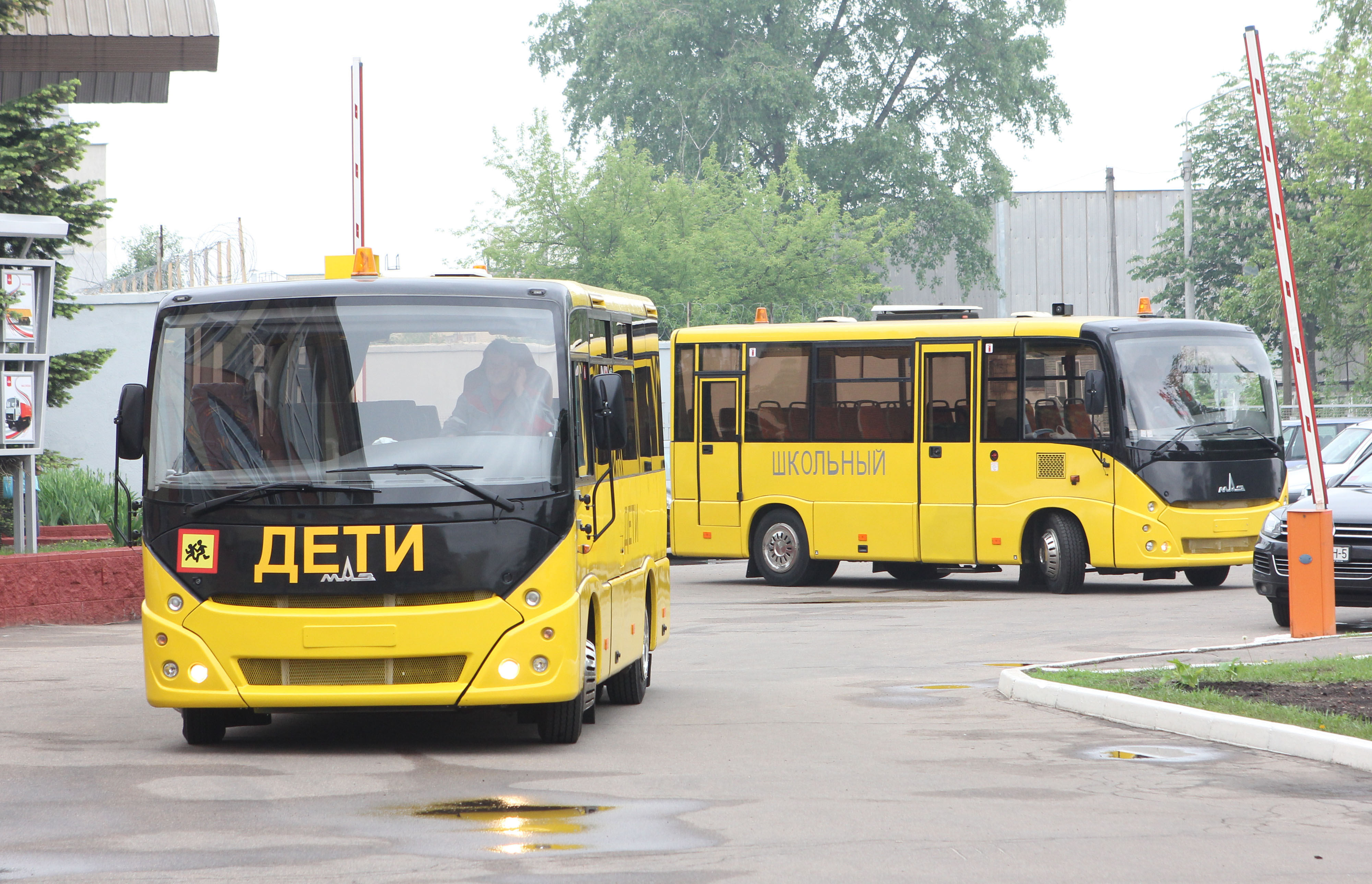 Загальноосвітні навчальні заклади Кіровоградщини отримали 7 нових шкільних автобусів