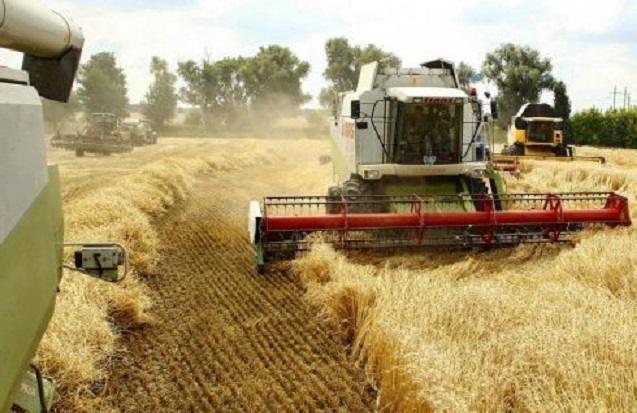 Аграрії вже зібрали майже 47 млн тонн зерна
