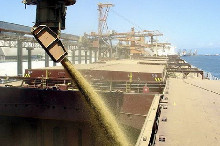 Темпы роста экспорта зерновых через украинские морские порты превысили 30%