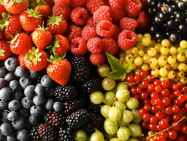 В Мінагрополітики не знають, куди дівати продукцію ягідництва