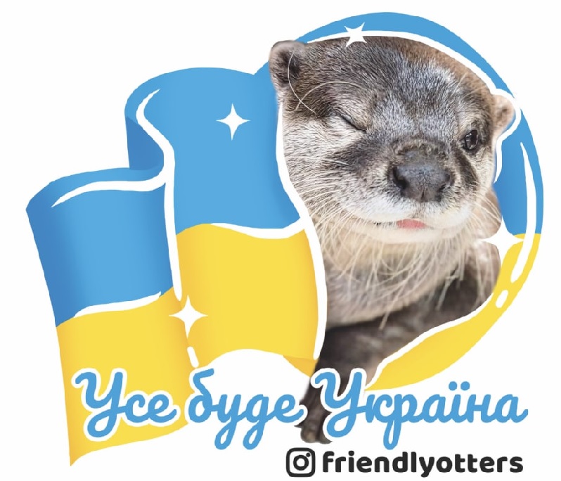 Українські видри-волонтери: як Хейзл і Пушан допомагають українцям закривати їхні потреби