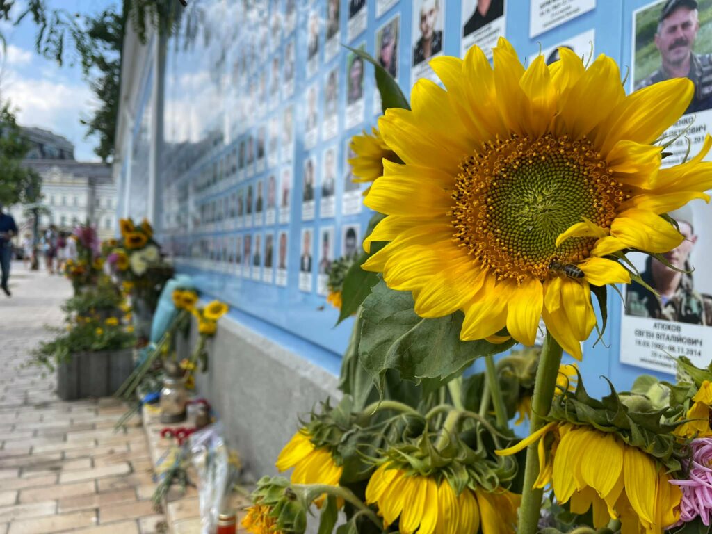 Соняшники. До Дня пам’яті загиблих захисників України Соняшники. До Дня пам’яті загиблих захисників України