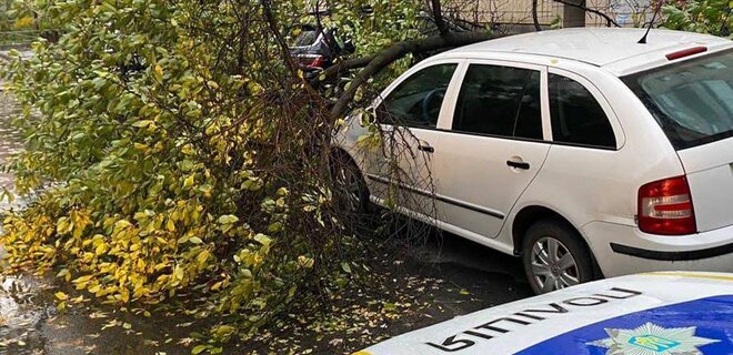 У Києві вирує штормовий вітер: попадали дерева, побиті авто, дві людини загинуло У Києві вирує штормовий вітер: попадали дерева, побиті авто, дві людини загинуло