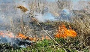 На Черниговщине оккупанты начали сбрасывать с дронов смесь, которая вызывает пожары — ГПСУ