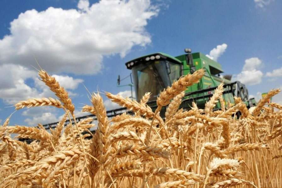 В Украине уже намолочено более 30,6 миллионов тонн зерновых и масличных В Украине уже намолочено более 30,6 миллионов тонн зерновых и масличных