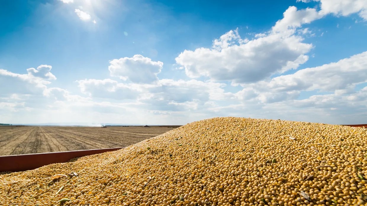 Украина вчетверо увеличила экспорт агропродукции: основная причина