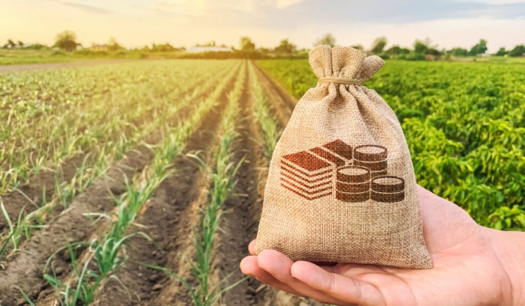 У травні у системі Прозорро.Продажі заплановано 3,5 тис земельних аукціонів