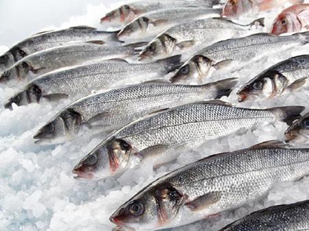 В Україні подорожчала морожена риба