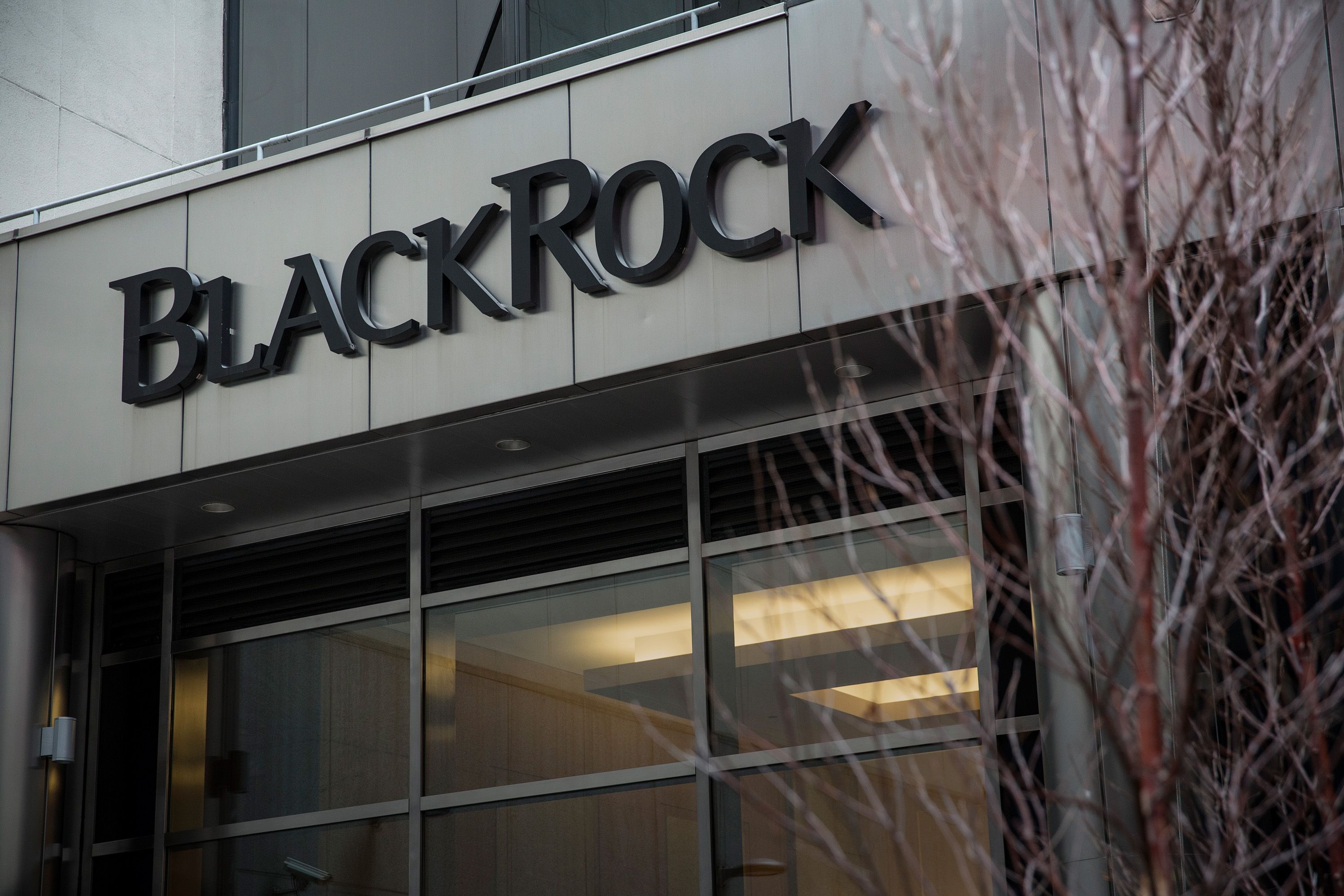 Найбільша у світі інвесткомпанія BlackRock зупинила роботу над фондом відновлення України, – ЗМІ Найбільша у світі інвесткомпанія BlackRock зупинила роботу над фондом відновлення України, – ЗМІ
