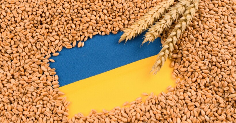 Цифра дня: 21,8 млн тонн пшениці вже зібрано цього року, виходимо на показники минулого року – Марчук