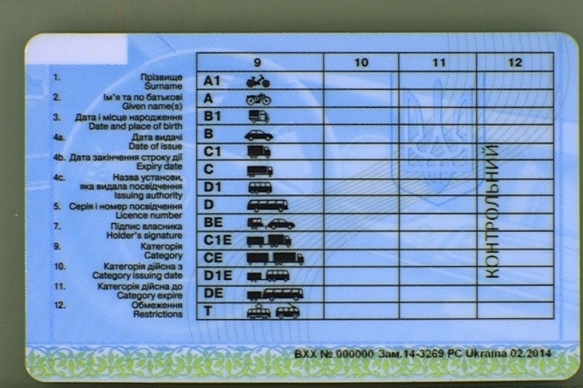 New categories, driving from the age of 17 and digital rights: Ukraine is preparing a large-scale reform of driver’s licenses New categories, driving from the age of 17 and digital rights: Ukraine is preparing a large-scale reform of driver’s licenses