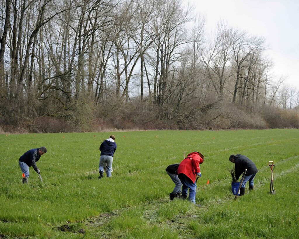young people working; youth employment; Ukrainian office young people working; youth employment; Ukrainian office