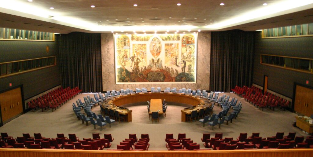 United Nations Security Council; Dan Negrea