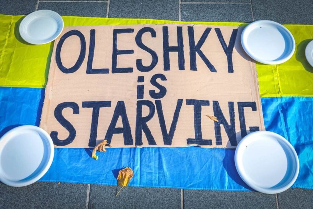 В Дублине провели акцию в поддержку оккупированных Олешек
