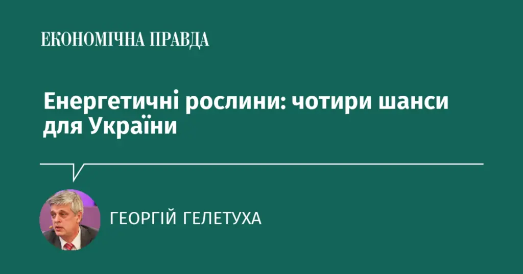 Энергетические культуры в Украине: стратегические ниши для агросектора