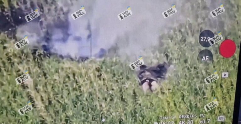фейк дніпро